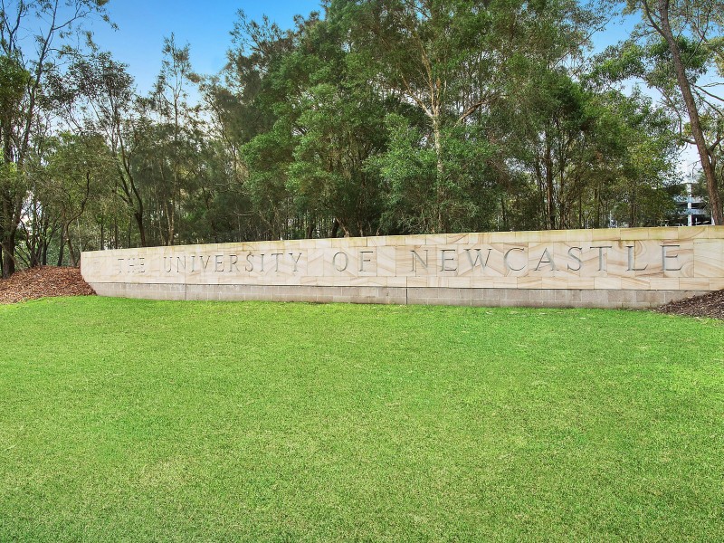 15 Compton Street, North Lambton NSW 2299