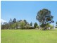311 Dalwood Road, Leconfield NSW 2335