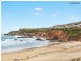 10 Nautical Close, Murrays Beach NSW 2281