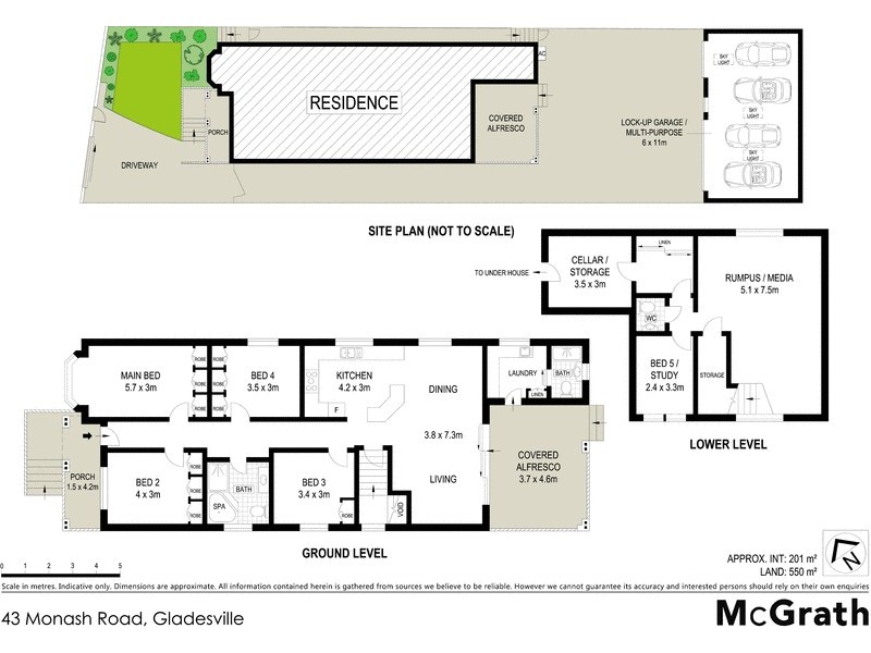 43 Monash Road, Gladesville NSW 2111 Floorplan