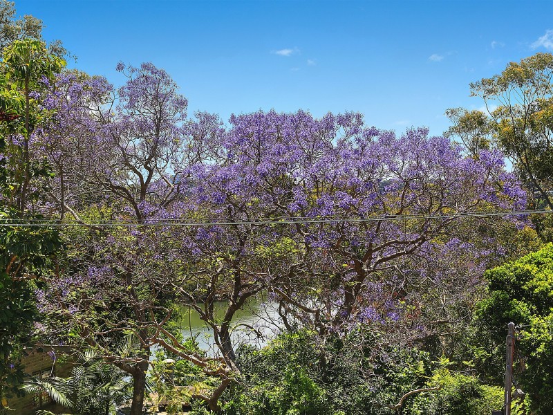 24 Bonnefin Road, Hunters Hill NSW 2110