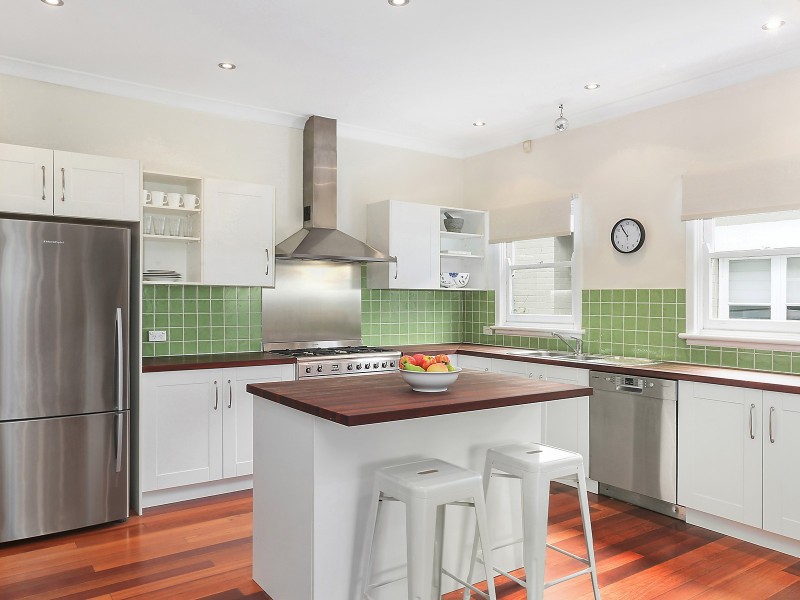 157 Morrison Road, Putney NSW 2112