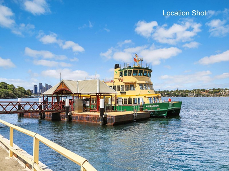 9 Ady Street, Hunters Hill NSW 2110