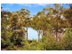 44A Barons Crescent, Hunters Hill NSW 2110