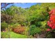 1  Dress Circle Road, Avalon NSW 2107