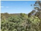 7 Cynthea Road, Palm Beach NSW 2108