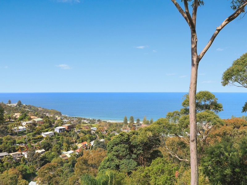 84 Grandview Drive, Newport NSW 2106