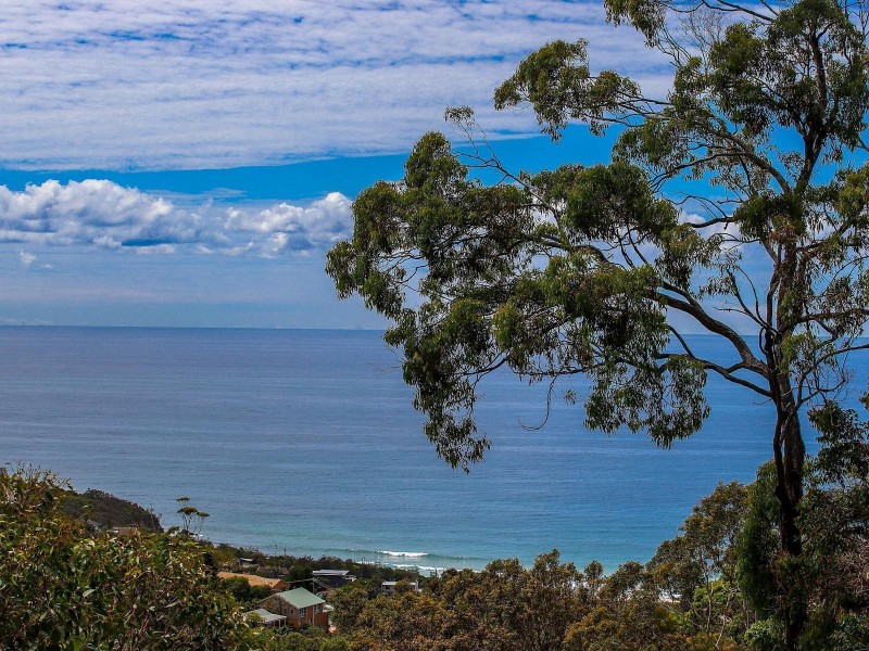 117 Grandview Drive, Newport NSW 2106