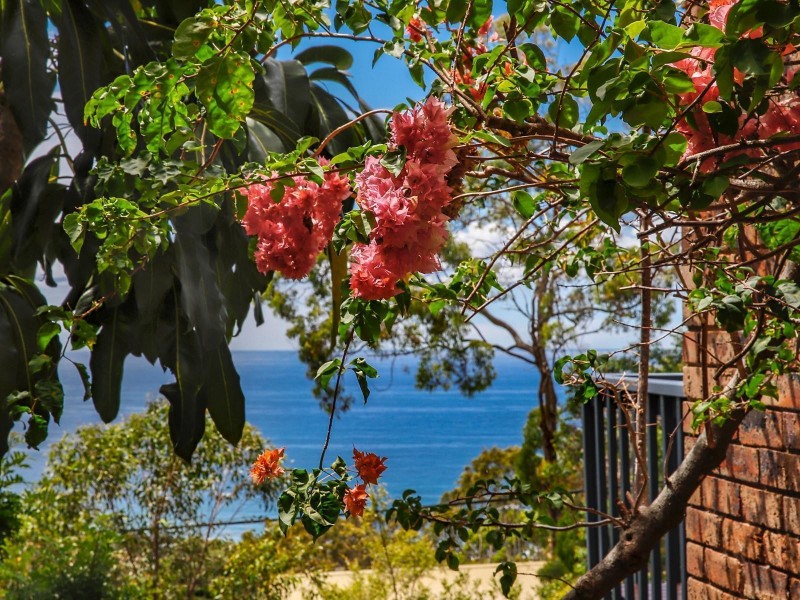 117 Grandview Drive, Newport NSW 2106