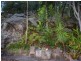 279 Hudson Parade, Avalon Beach NSW 2107