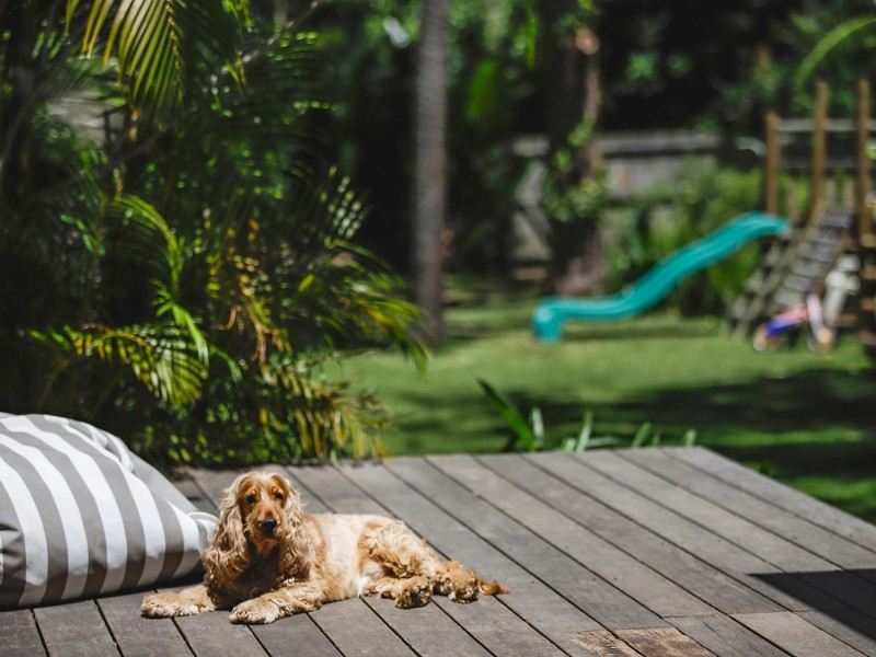 67 Central Road, Avalon Beach NSW 2107