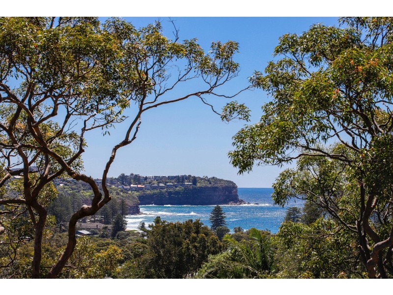 1 Bushrangers Hill, Newport NSW 2106