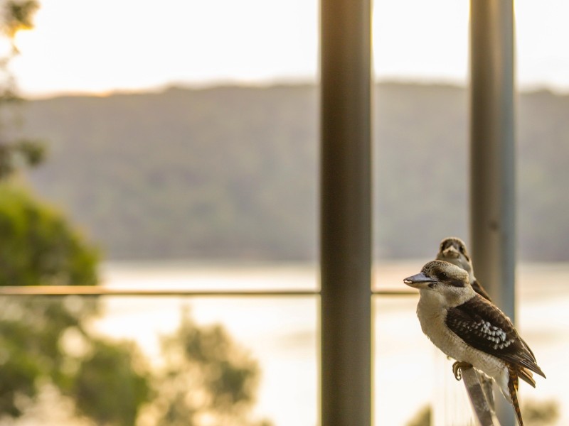 152 Riverview Road, Avalon Beach NSW 2107