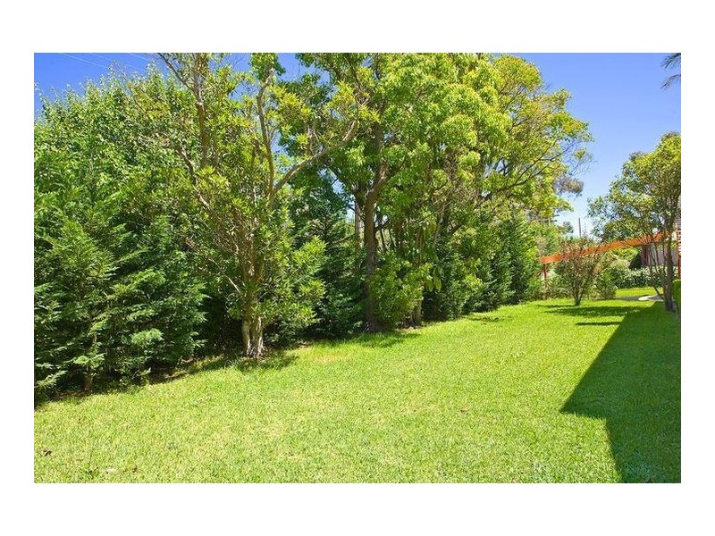 13 Johnson Street, Chatswood NSW 2067