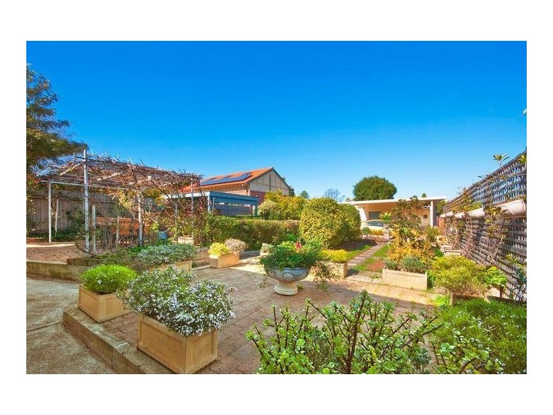 22 Hudson Avenue, Willoughby NSW 2068