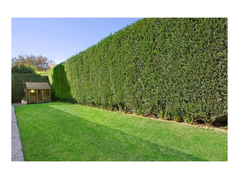 143A High Street, Willoughby NSW 2068