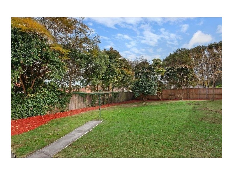 71 Eddy Road, Chatswood NSW 2067