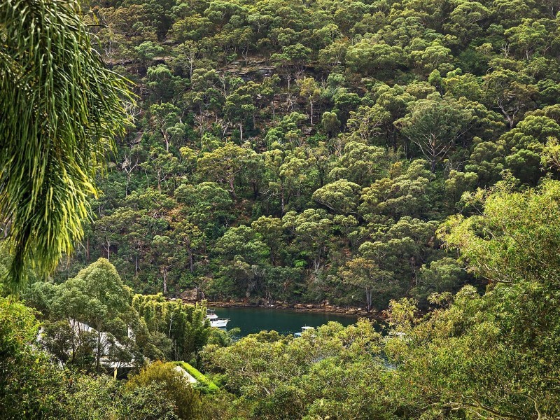 31 Neerim Road, Castle Cove NSW 2069