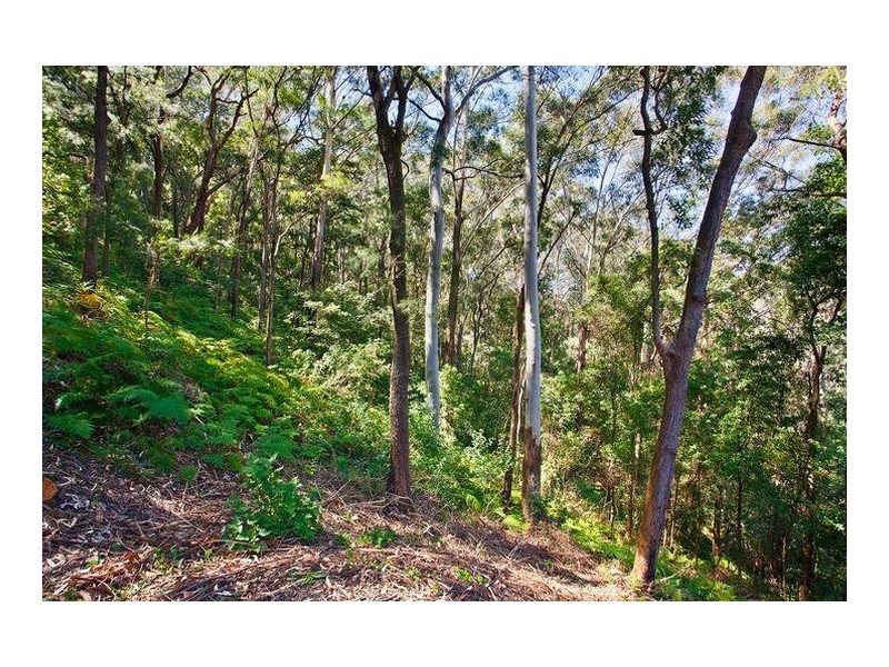 138 Berrys Head Road, Wyoming NSW 2250