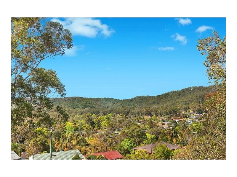 19 Chestnut Street, Wyoming NSW 2250