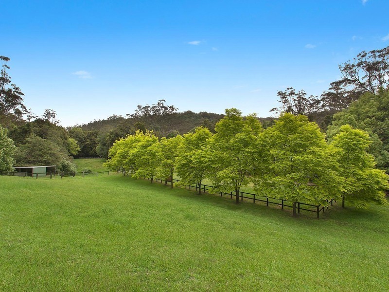 50 Moores Point Lane, Palm Grove NSW 2258