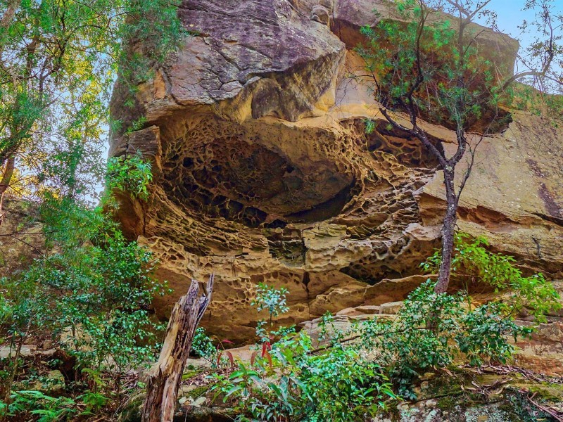 136 Reeves Street, Narara NSW 2250