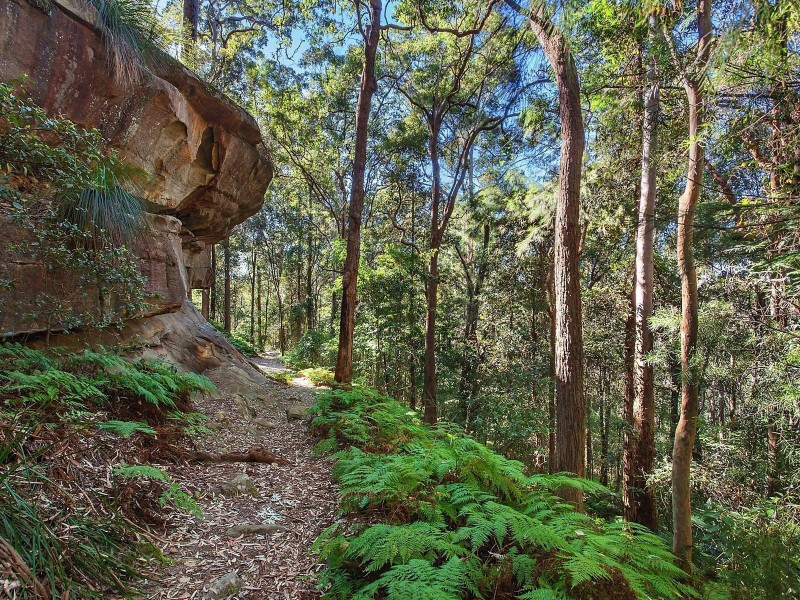 136 Reeves Street, Narara NSW 2250