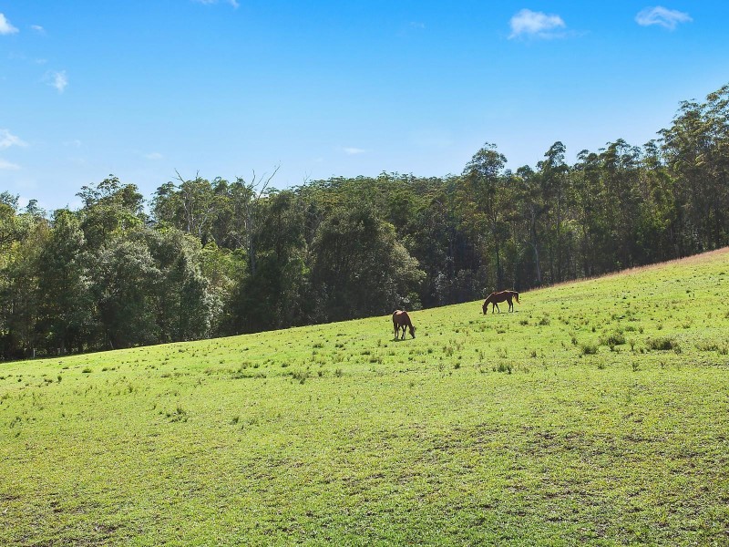 168 Pacific Highway, Ourimbah NSW 2258