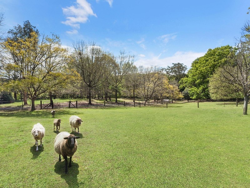 156 Ourimbah Creek Road, Ourimbah NSW 2258