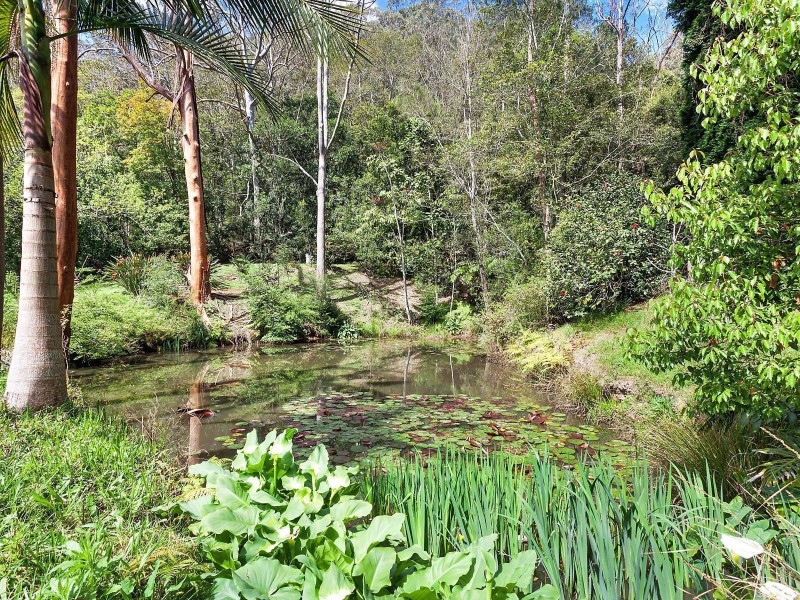 156 Ourimbah Creek Road, Ourimbah NSW 2258