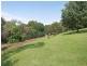 5 Country View Close, Picketts Valley NSW 2251