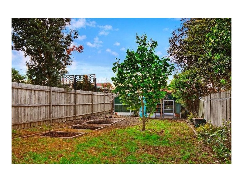 48 Wattle Street, Haberfield NSW 2045