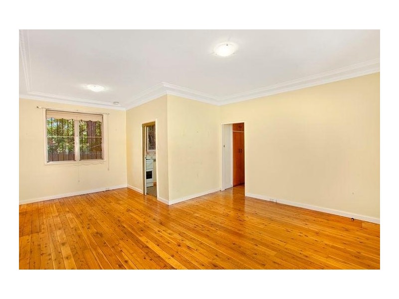 77 Macauley Street, Leichhardt NSW 2040