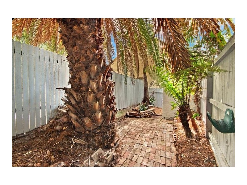 16 Whitehorse Street, Newtown NSW 2042