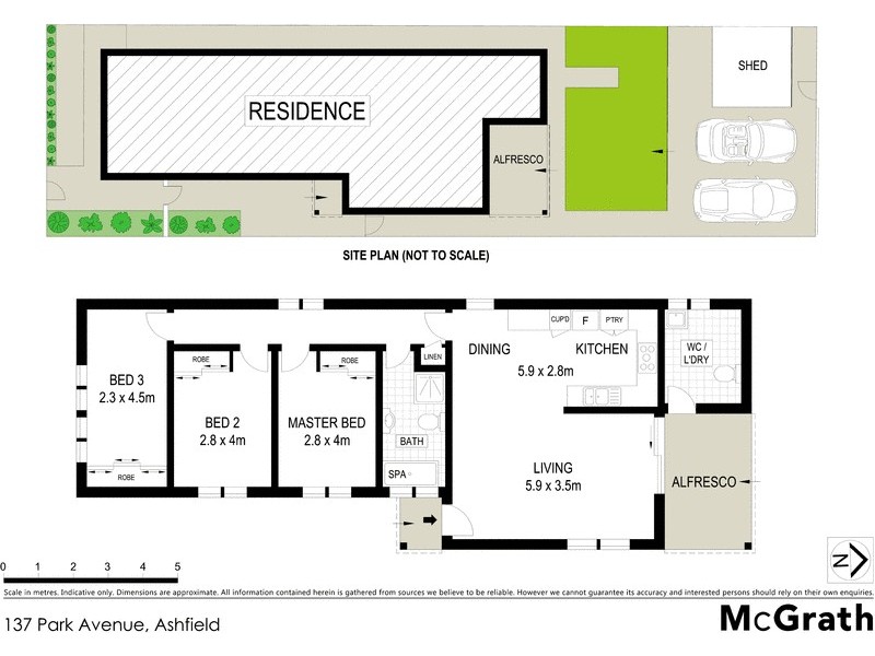 137 Park Avenue, Ashfield NSW 2131 Floorplan