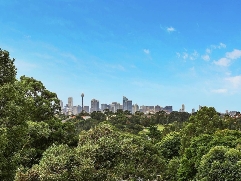 22 Paris Avenue, Earlwood NSW 2206