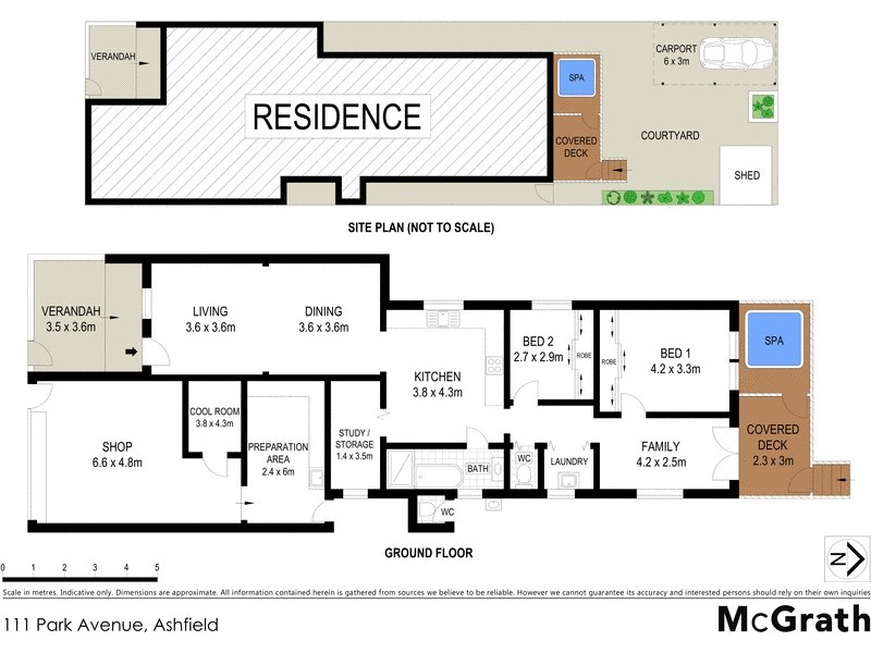 111 Park Avenue, Ashfield NSW 2131 Floorplan