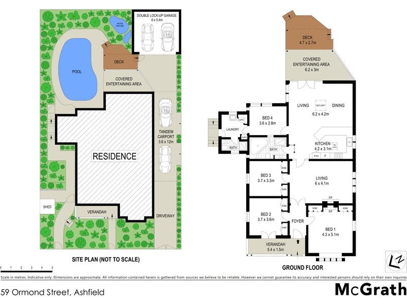59 Ormond Street, Ashfield NSW 2131 Floorplan