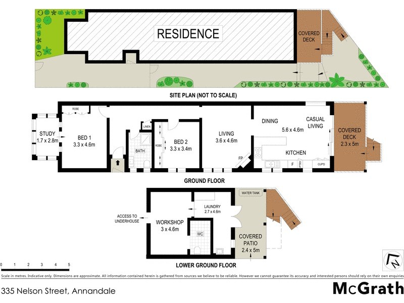 335 Nelson Street, Annandale NSW 2038 Floorplan