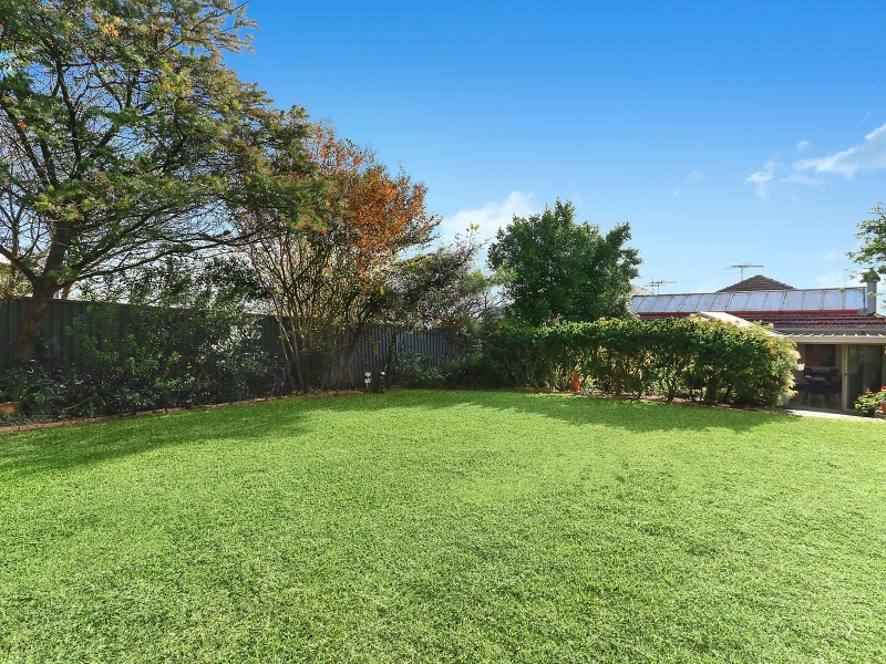 31 Bramston Avenue, Earlwood NSW 2206