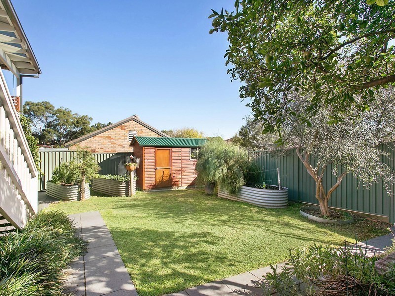 177 William Street, Earlwood NSW 2206