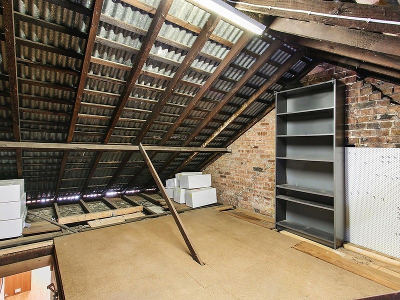 20 Ferndale Street, Newtown NSW 2042