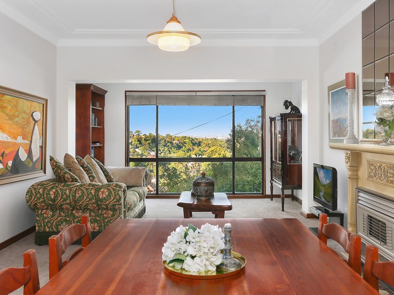 19 Hocking Avenue, Earlwood NSW 2206