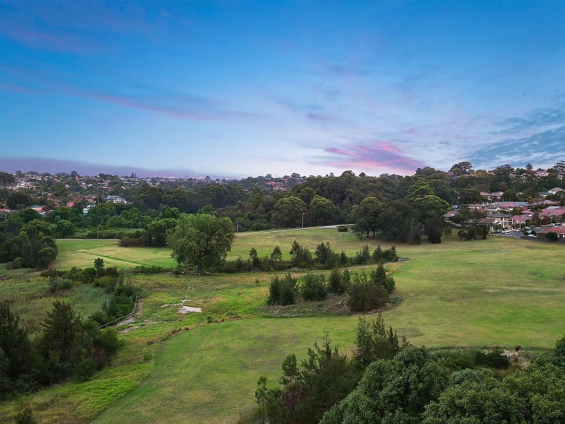 13A David Street, Earlwood NSW 2206