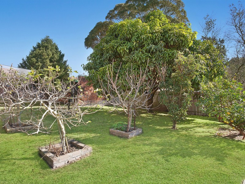 13 Cove Street, Haberfield NSW 2045