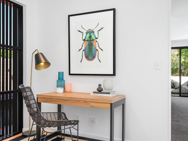 2 Coneill Place, Forest Lodge NSW 2037