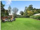 177 Homer Street, Earlwood NSW 2206