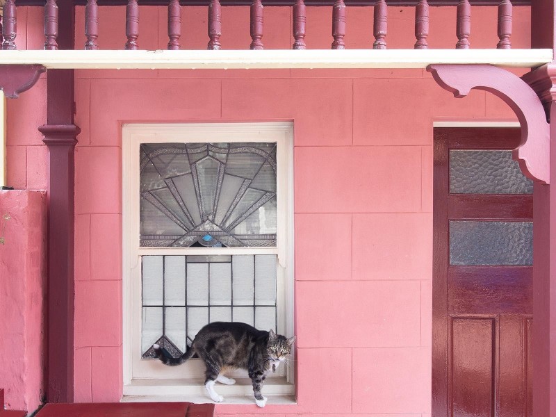 28 Despointes Street, Marrickville NSW 2204