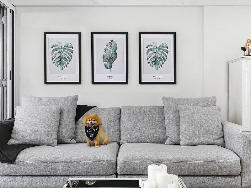 96 Denison Street, Camperdown NSW 2050