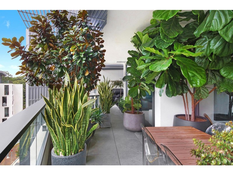 2505/7 Scotsman Street, Forest Lodge NSW 2037